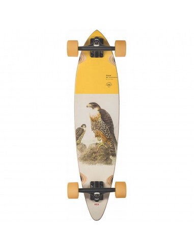 Globe Skateboards Pintail 34 Cruiser - The Falcon Les êtres humains sont 