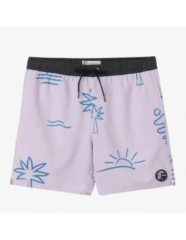 O'Neill OG Print Volley Shorts 16" - Purple Iris de France